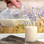 Pratęsta išimtis – smulkūs ūkiai ką tik pamelžtą pieną galės pristatyti neatšaldytą ￼